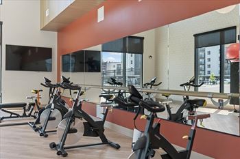 Gym with stationary bikes and a flat screen tv